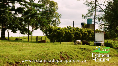 INICIO INICIO.00_03_35_27.Quadro040_20f60d565bab95ad76a9496fa3092a661c86e4e4.jpg